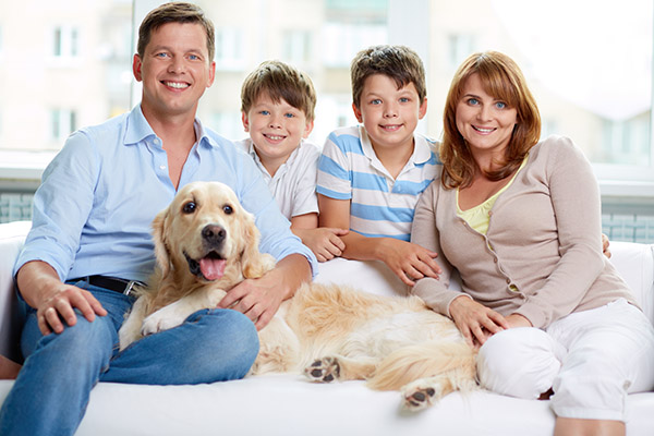 What To Look For In A Family Dentist